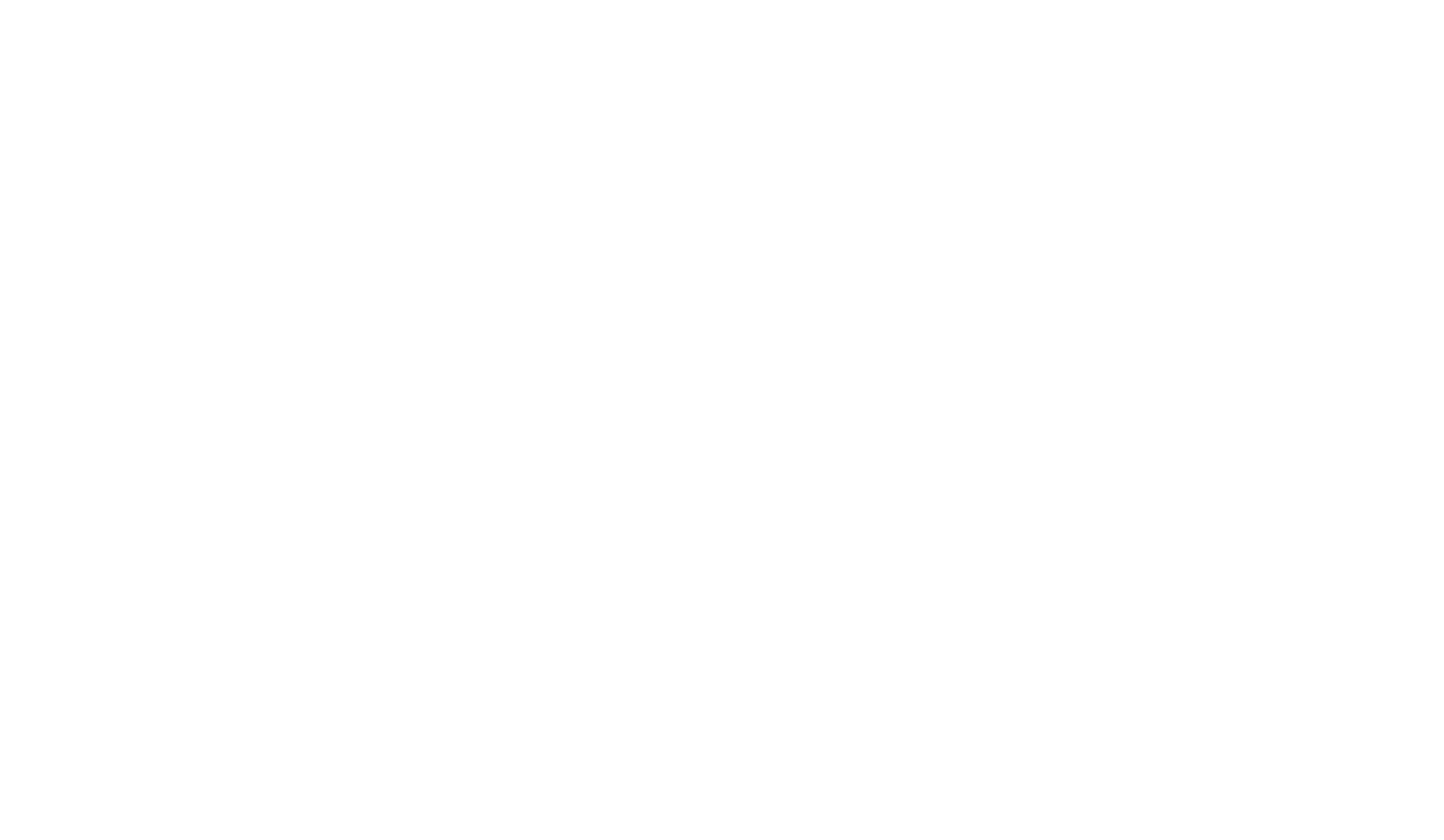 bij 45 logo
